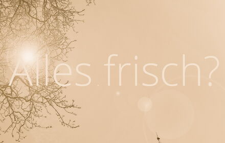 Gezielt Content aktualisieren